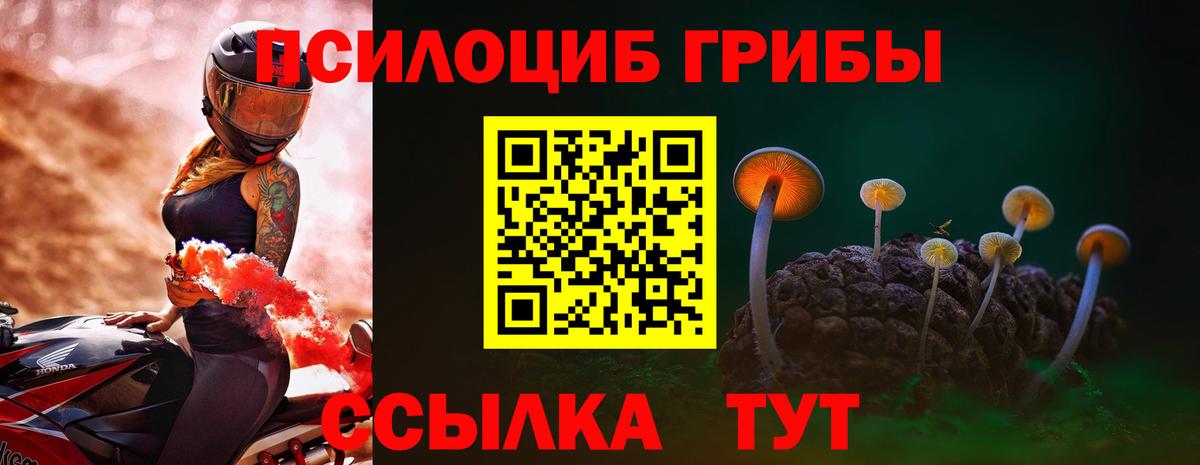 Псилоцибиновые грибы Psilocybine cubensis  Псилоцибиновые грибы Psilocybe  купить   Вход с VPN  Черняховск 